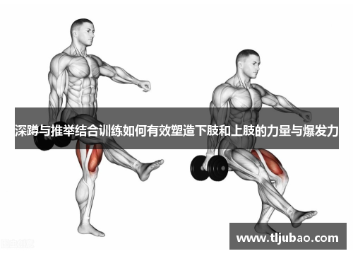 深蹲与推举结合训练如何有效塑造下肢和上肢的力量与爆发力
